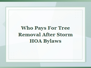 Who Pays for Tree Removal After a Storm Under Hoa Bylaws?