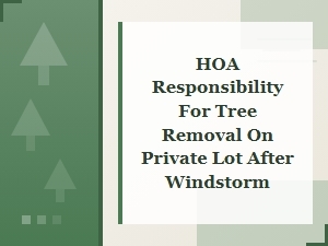 Hoa Responsibility for Tree Removal on Private Lots
