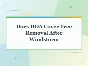Does Your Hoa Cover Tree Removal After a Windstorm?